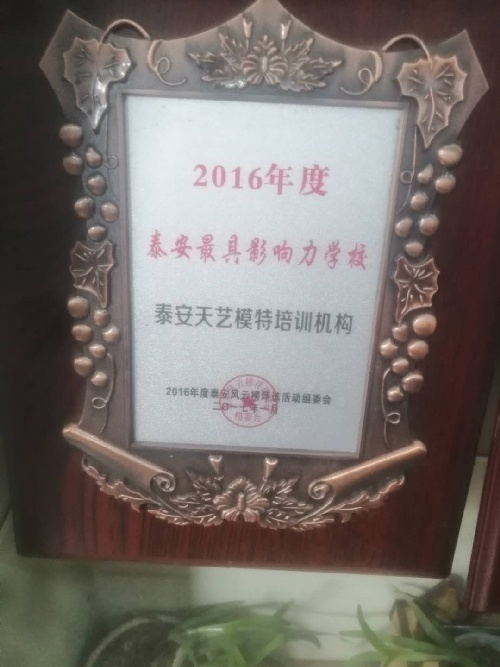 天藝之星高中藝考培訓