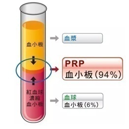 PRP技術學習2021杭州