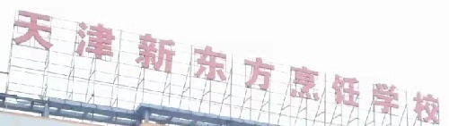 |ӖWУ\T