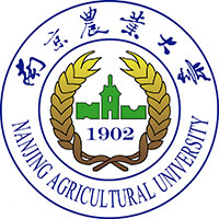 ϾrIW2022ȫ42