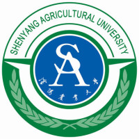 r(nng)I(y)W(xu)2022ȫ138