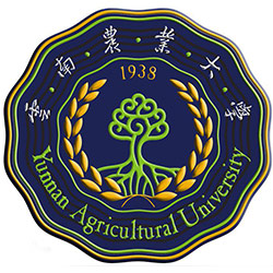 rIW2022ȫ180