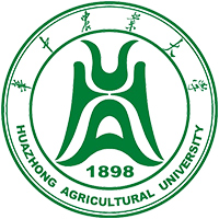 ArIW2022ȫ45