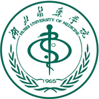 tˎWԺ2022ȫ256