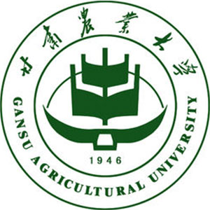 CrI(y)W2022ȫ189