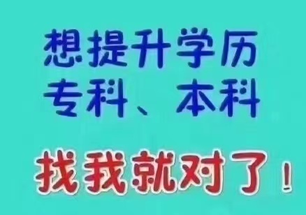 上海自考/成考/開放大學(xué)/網(wǎng)絡(luò)教育學(xué)歷招商