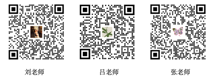 core_1716278282_7805.png